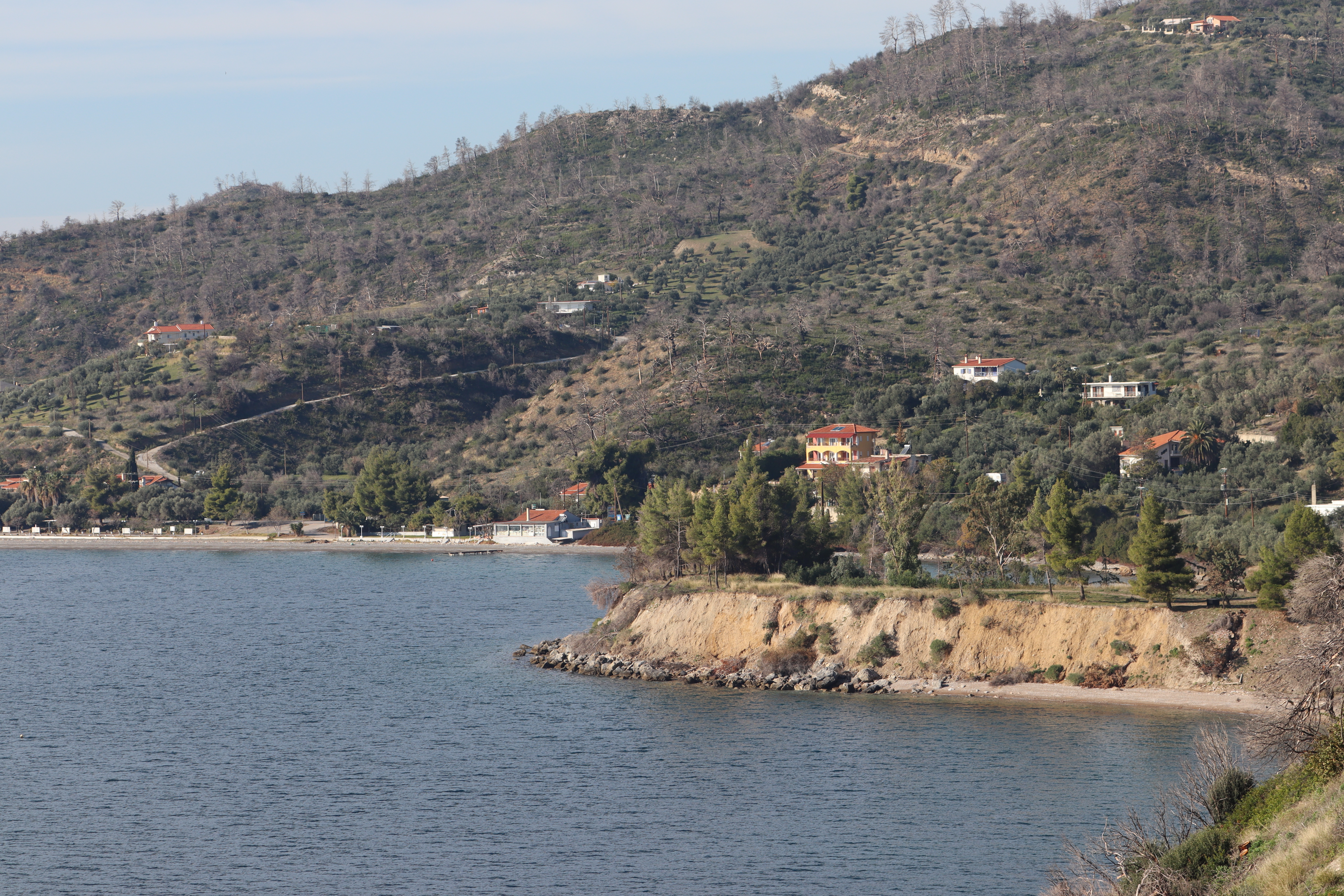 Forest Integrity and Recovery for Euboea